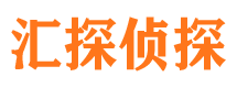 湖滨侦探公司